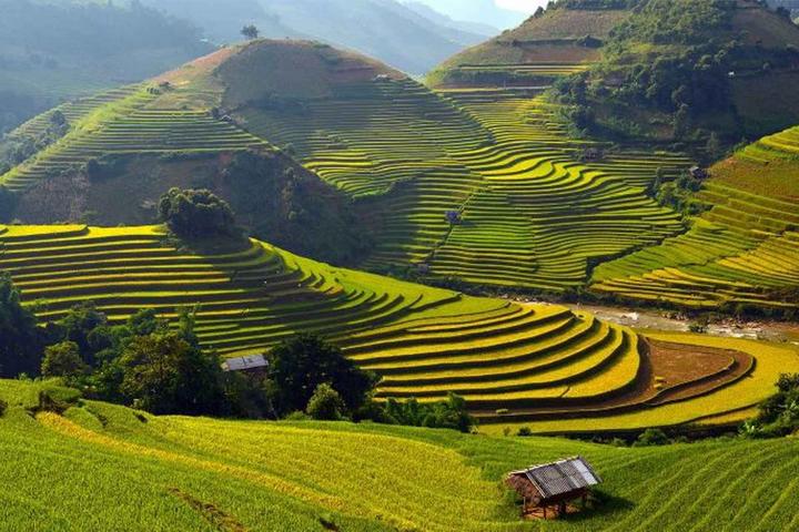 Hotspot Matrix và làng nghề tò he Xuân La