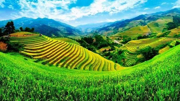 Hotspot Matrix và Gái Pháp mê tít 2 kiểu váy xinh như thơ, diện từ hè năm này sang năm